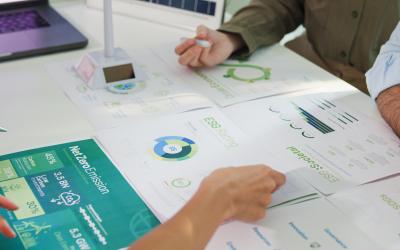 Carbon Border Adjustment Mechanism (CBAM) for Northern Ireland businesses